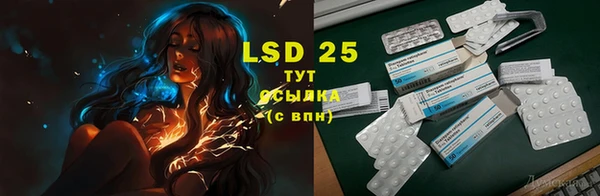 PSILOCYBIN Майский