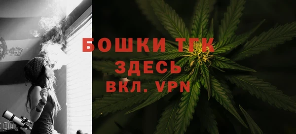 PSILOCYBIN Майский