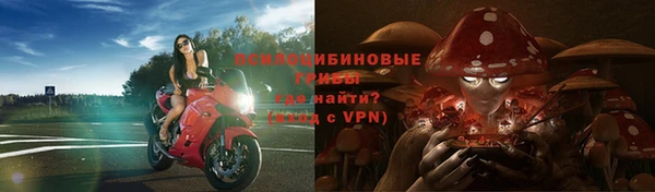 PSILOCYBIN Майский