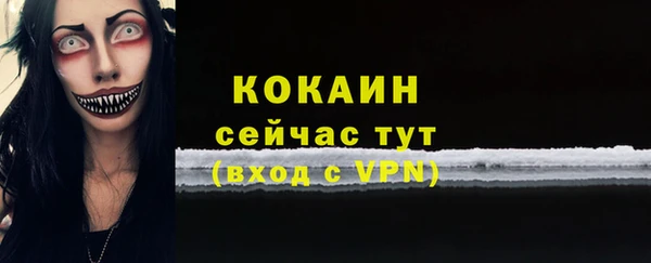 PSILOCYBIN Майский