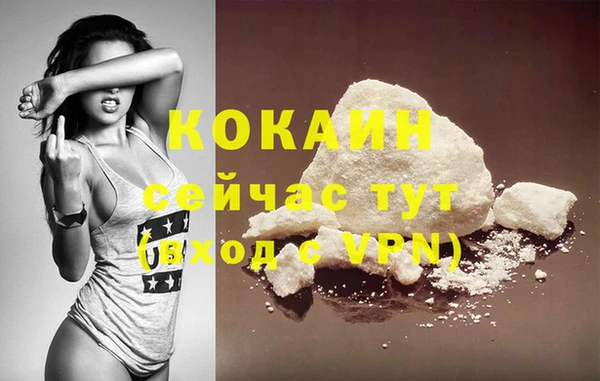 крисы Мурманск