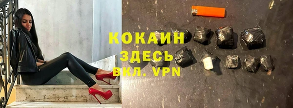 PSILOCYBIN Майский